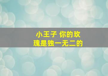 小王子 你的玫瑰是独一无二的